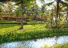 Fresh water flow in the pond